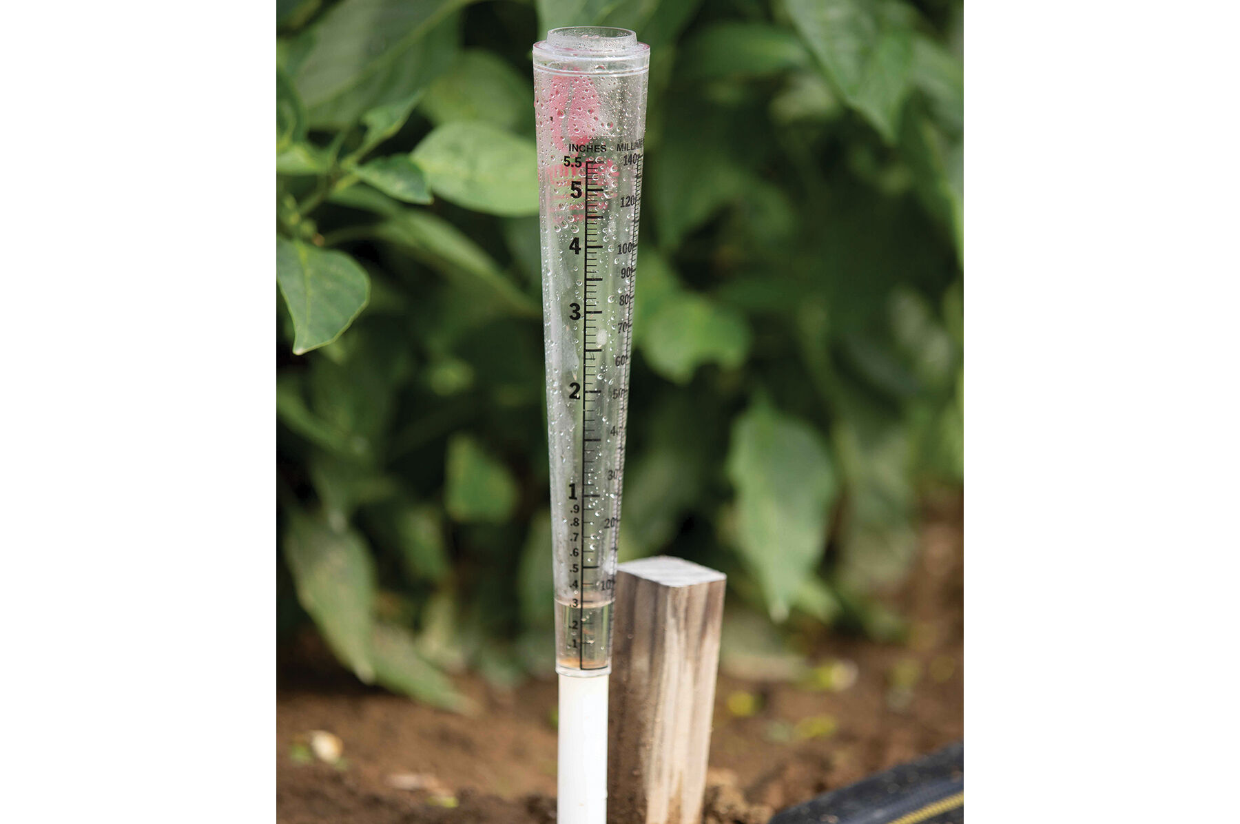 Shock-Proof Rain Gauge Test & Measuring Equipment