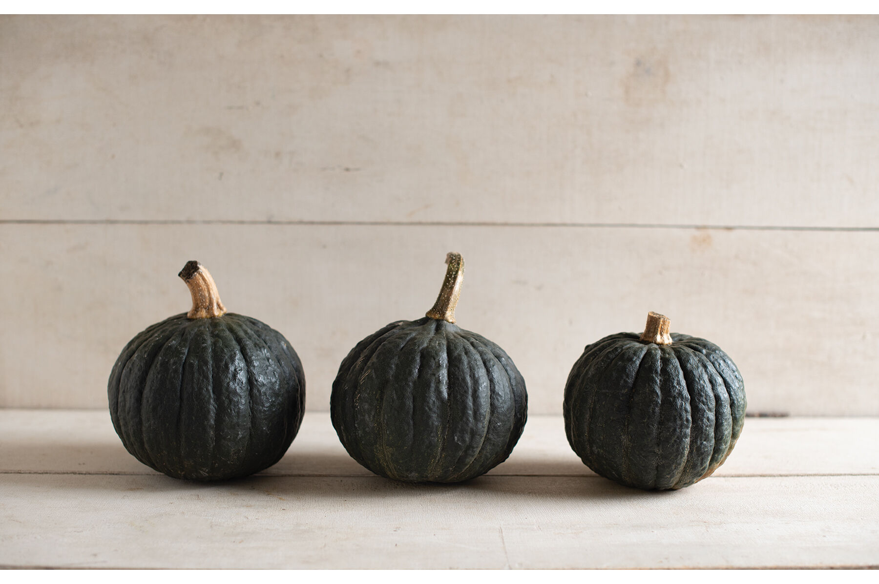 Tetsukabuto Winter Squash