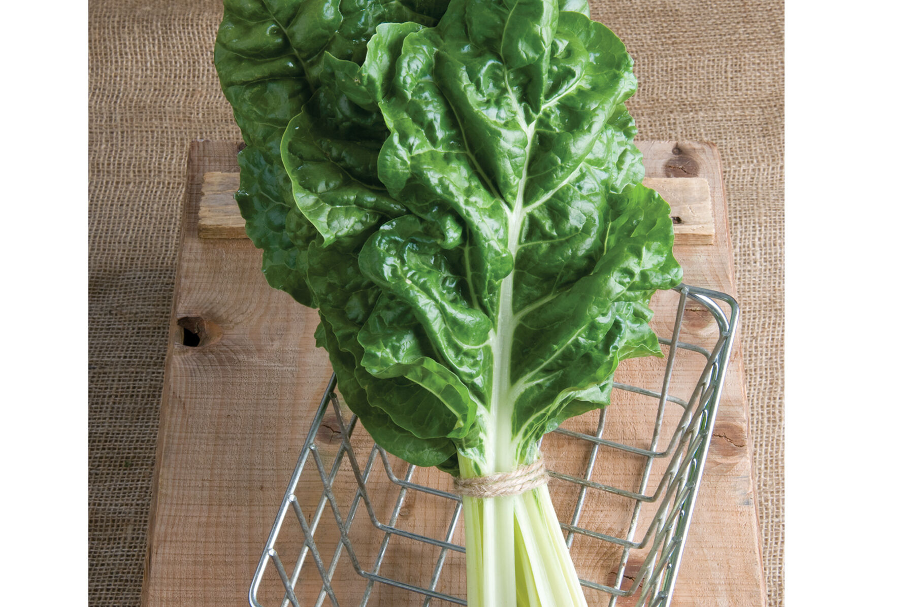 Fordhook Giant Swiss Chard