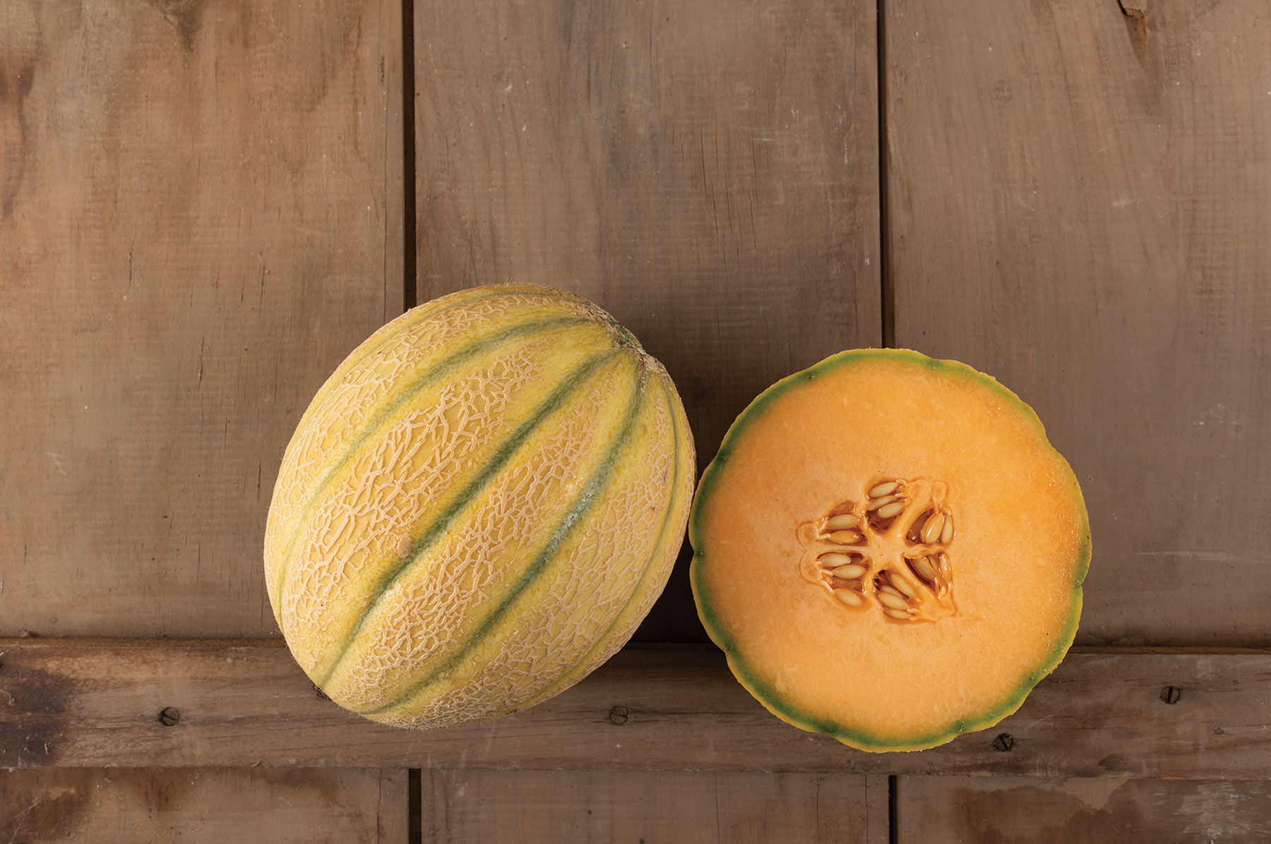 Milan Cantaloupe (Muskmelon)