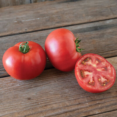 Bonbolya Beefsteak Tomatoes