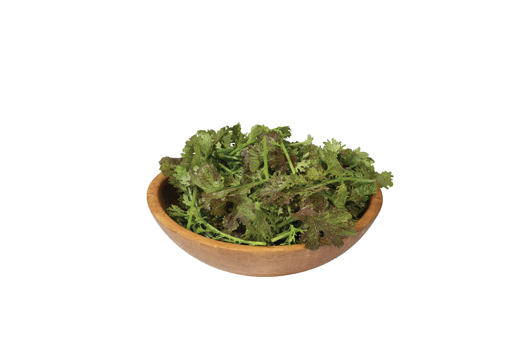 Scarlet Frills Mustard Greens