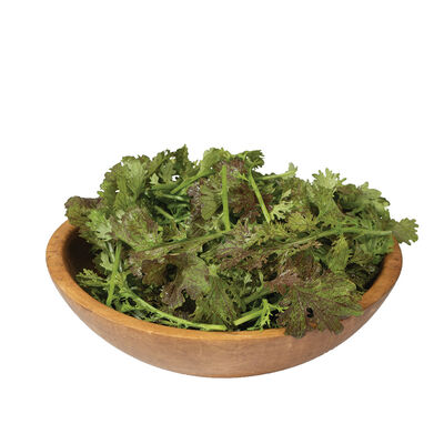 Scarlet Frills Scarlet Frills Mustard Greens