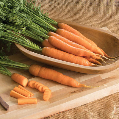 Napoli Early Carrots