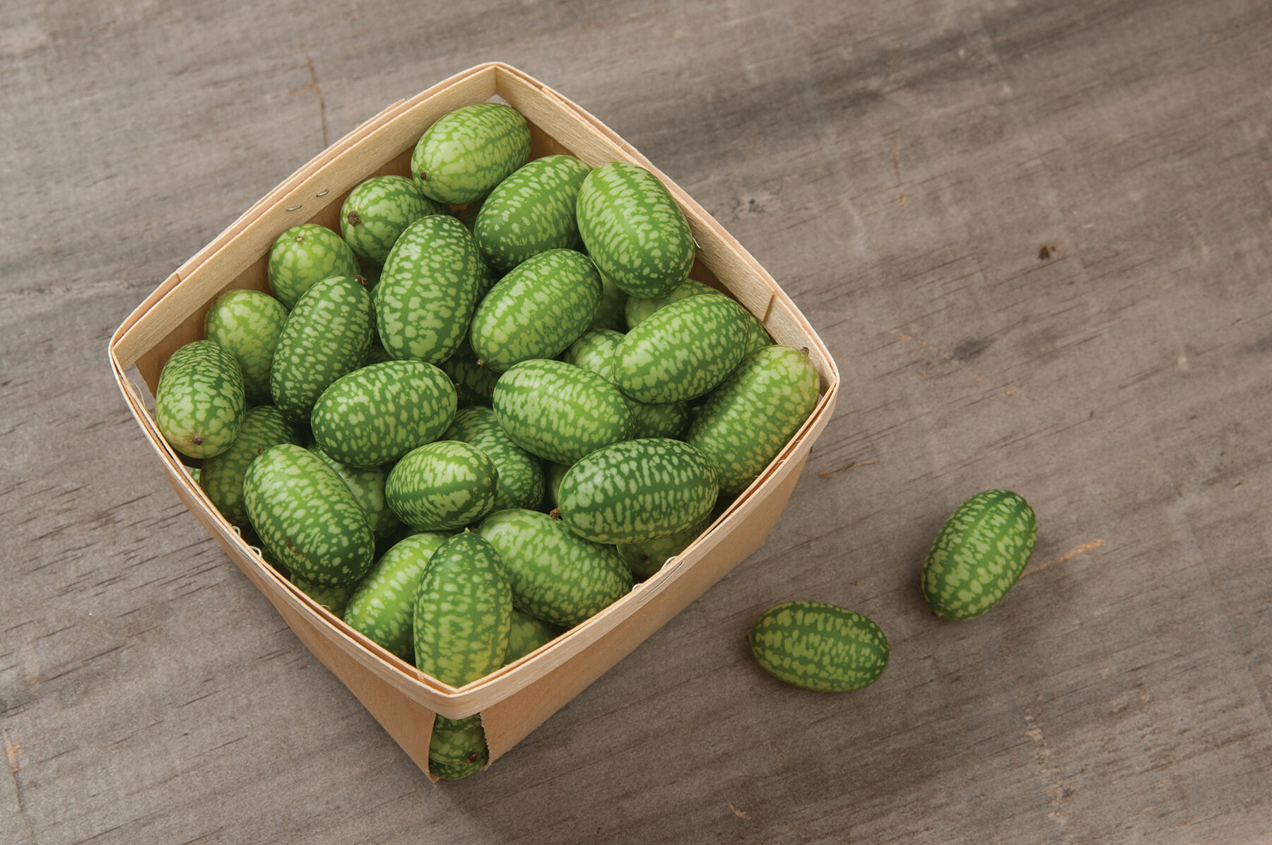 Mexican Sour Gherkin Specialty Cucumbers