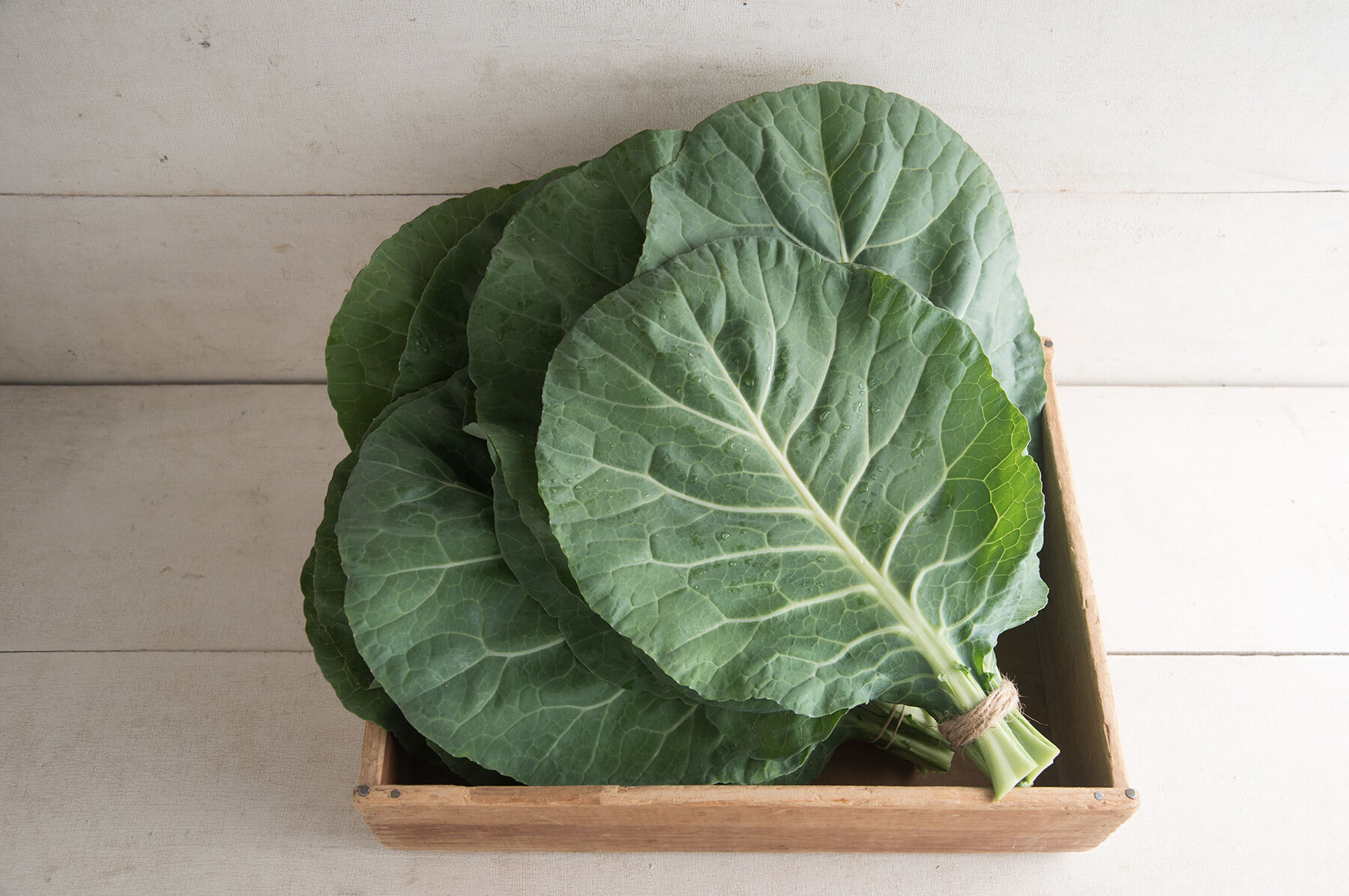 Flash Collards