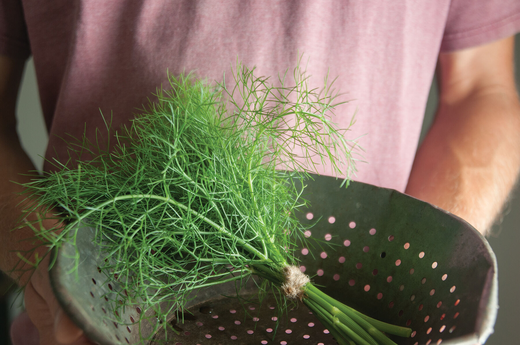 Grosfruchtiger Herbs for Salad Mix