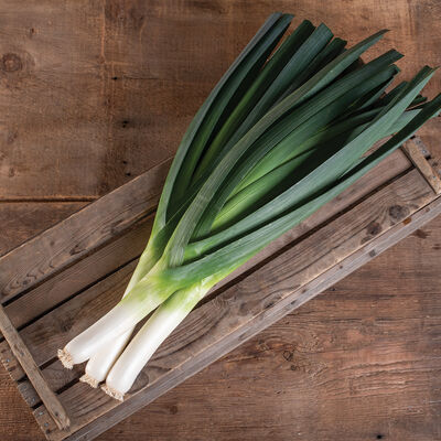 Jumper Leeks