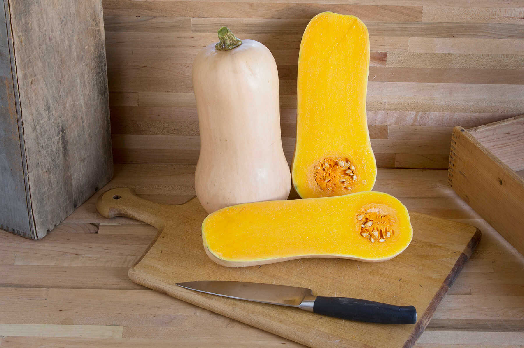 Waldo PMR Winter Squash