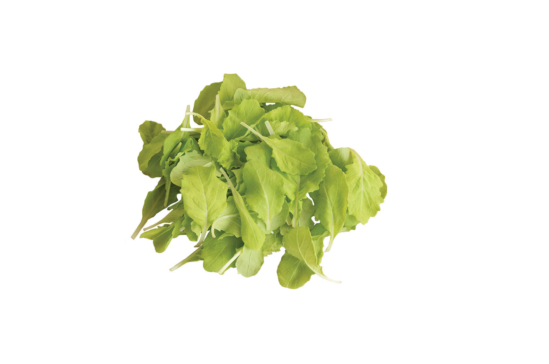 Tokyo Bekana Chinese Cabbage