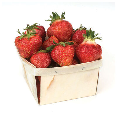 Dickens Strawberry Bare-Root Plants