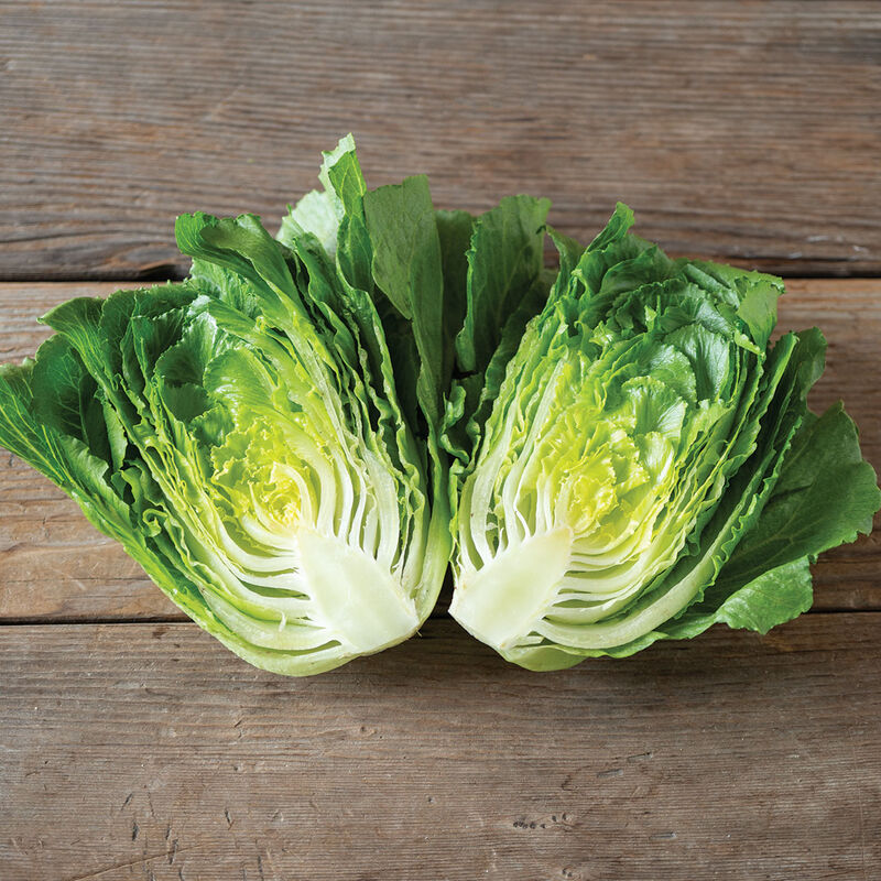 Bigelow Romaine Lettuce (Cos)