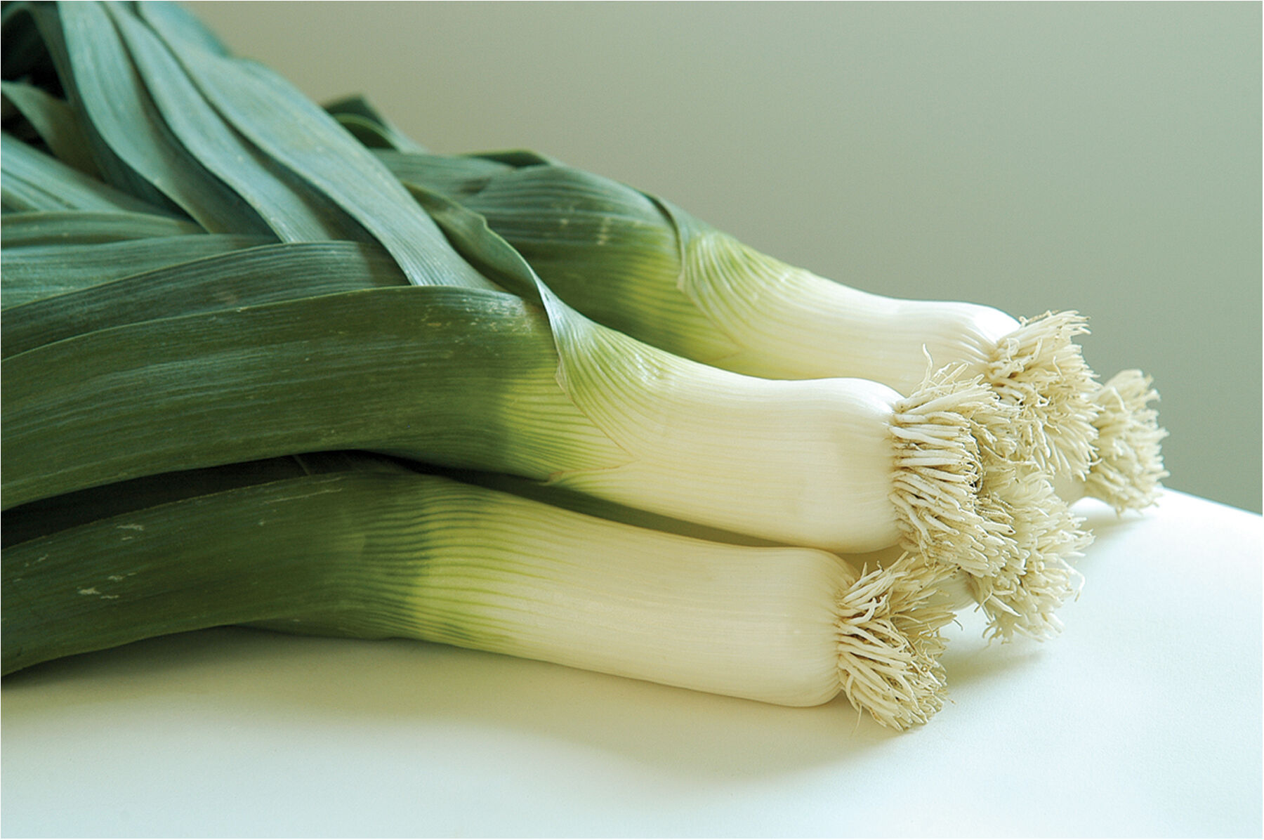 Bandit Leeks