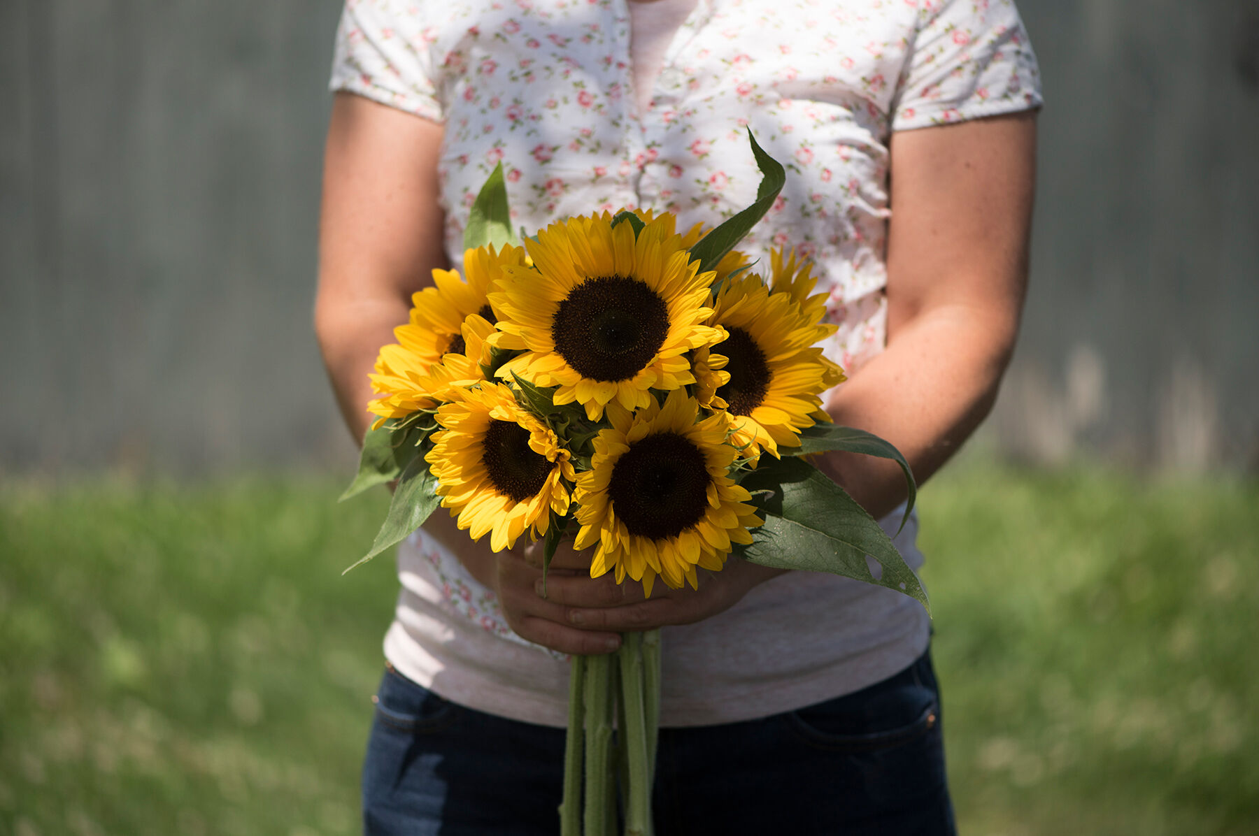 Zohar Organic Flowers