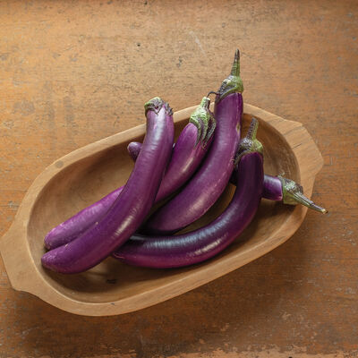 Asian Delite Asian Eggplants