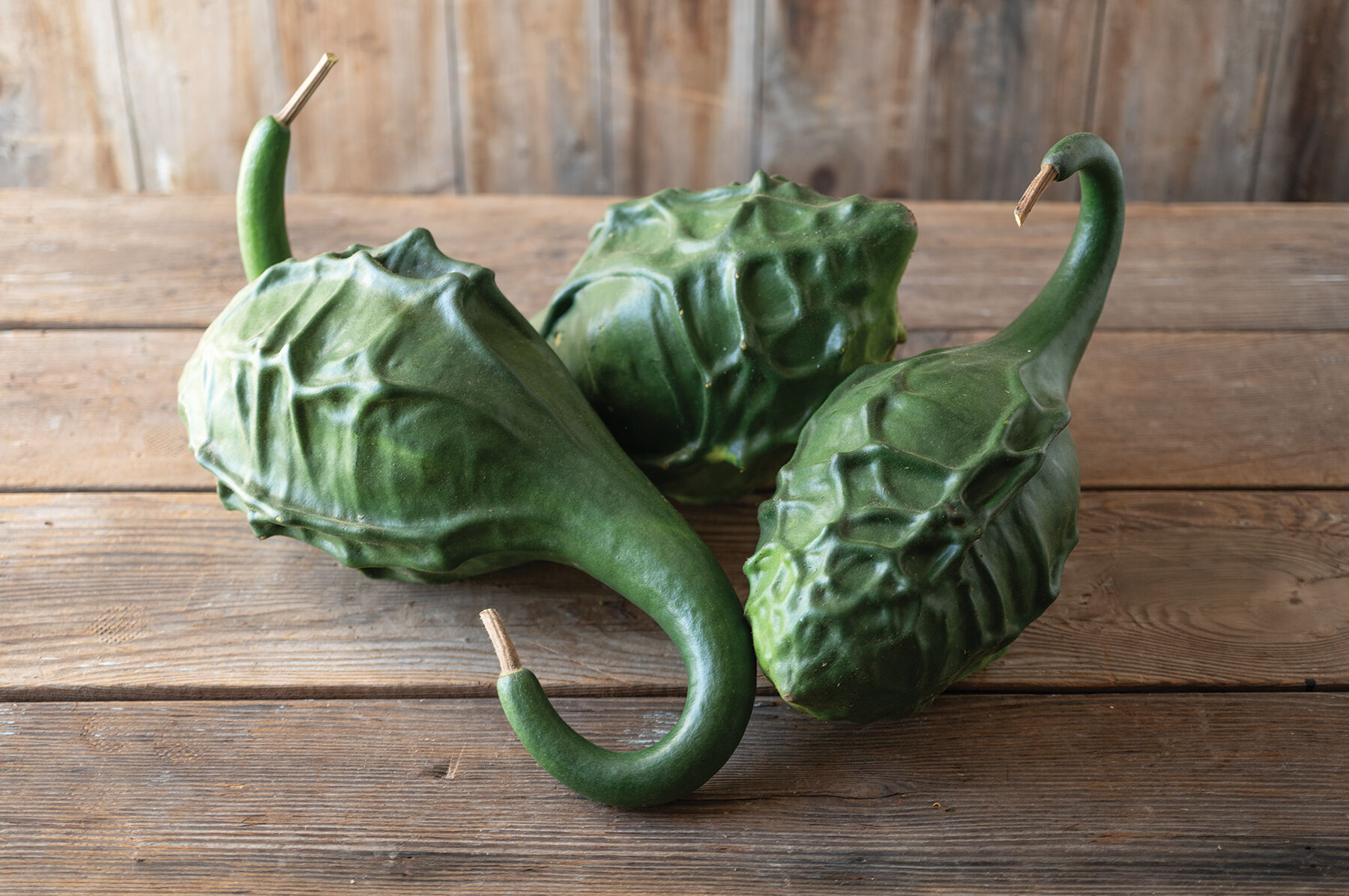 Dinosaur Gourd Gourds