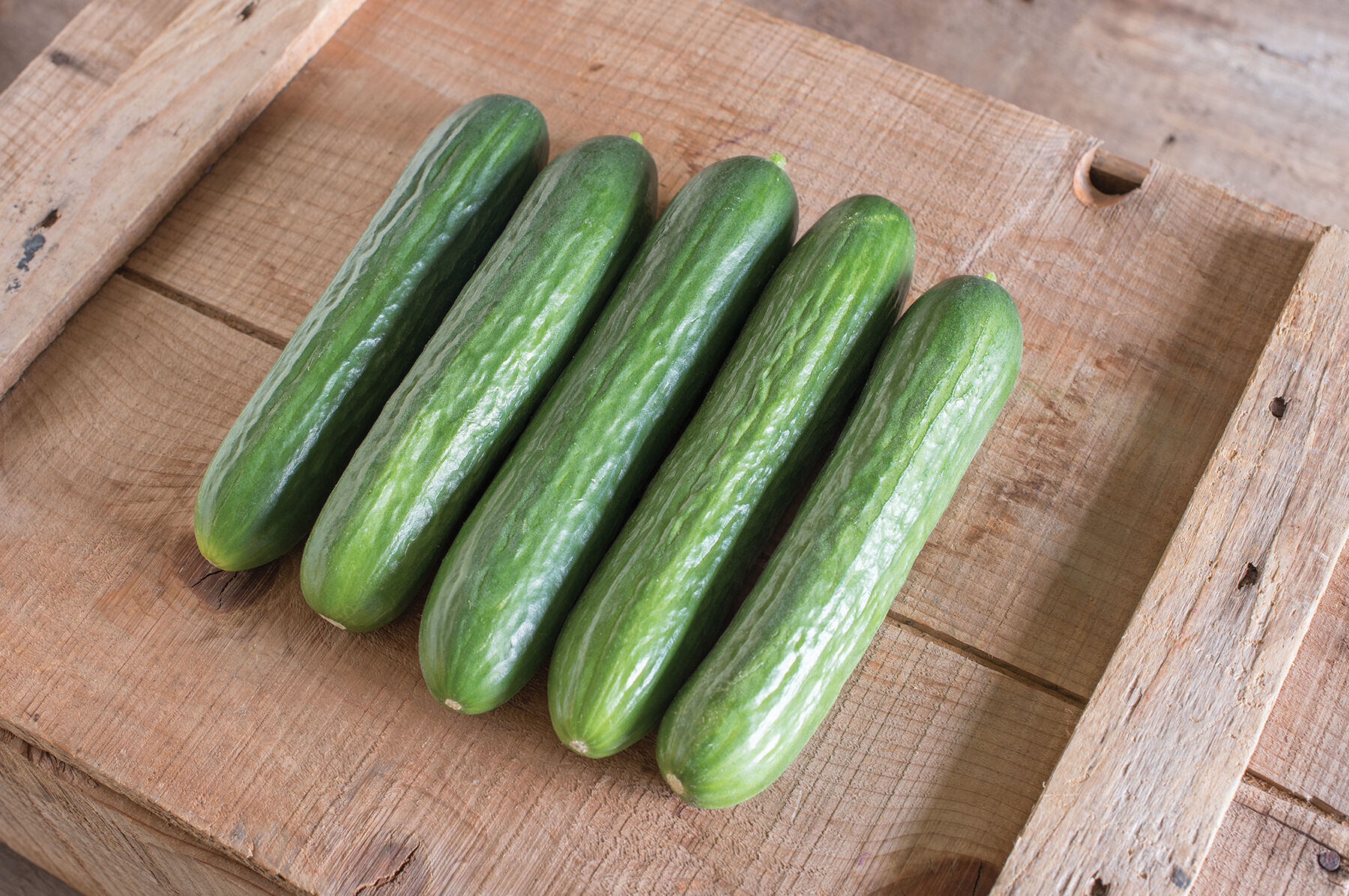 Katrina Seedless and Thin-skinned Cucumbers