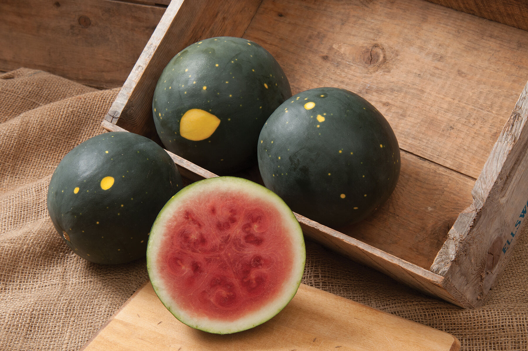 Harvest Moon Watermelons