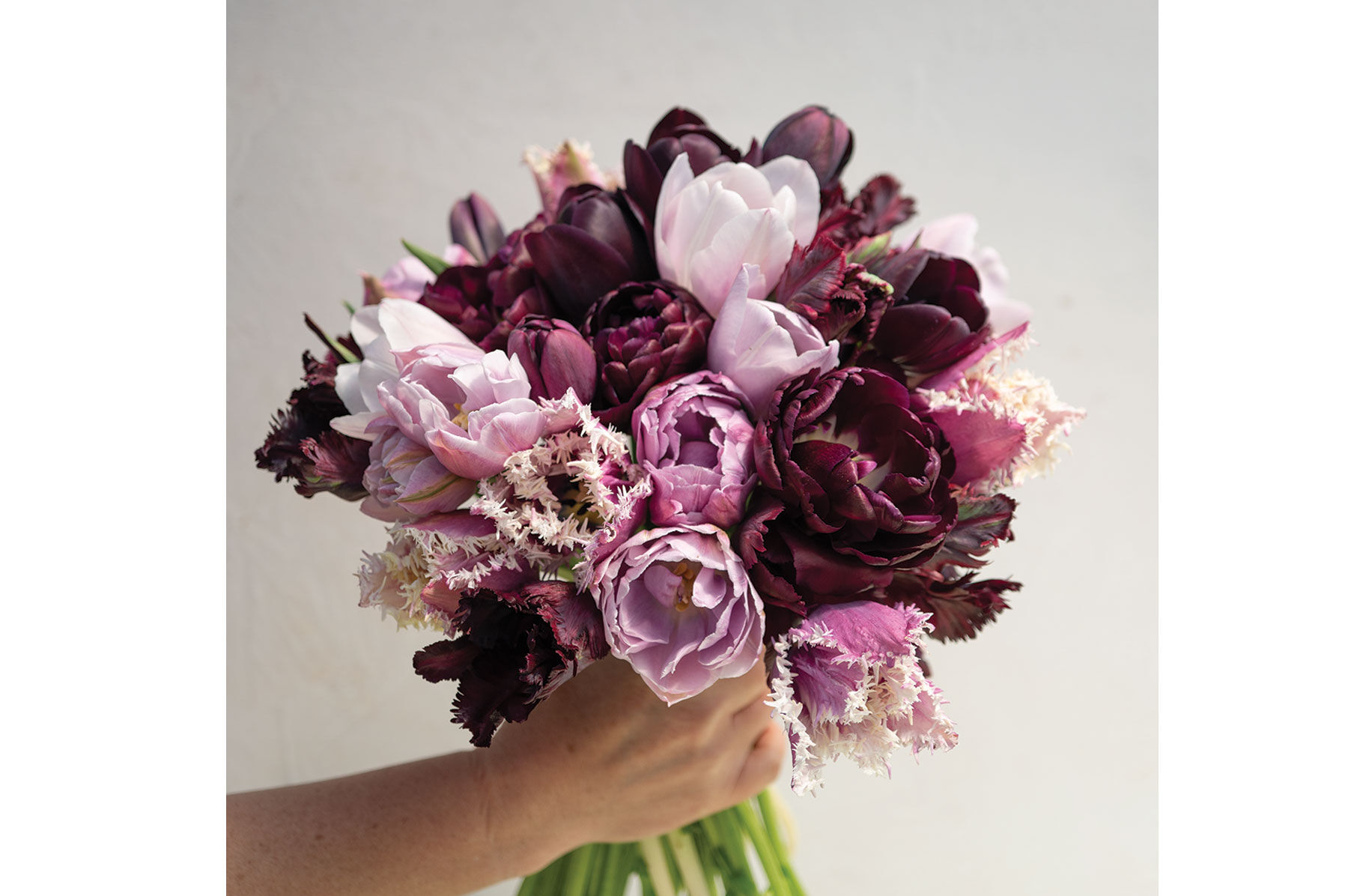 Goth Garden Set Tulips