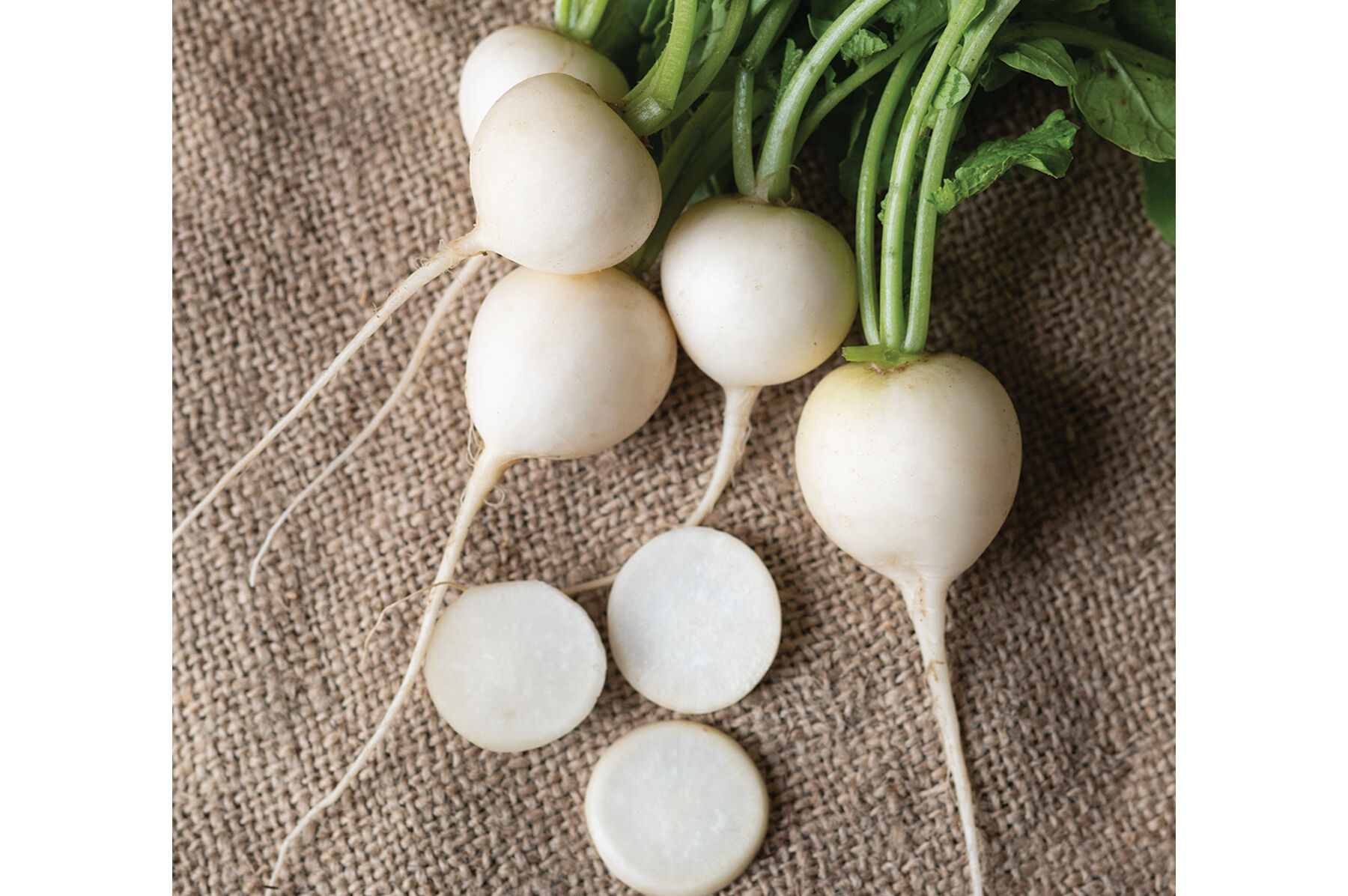 Pearl Round Radishes