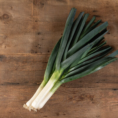 Surfer Leeks