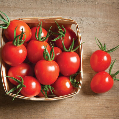 Cherry Bomb Cherry Tomatoes