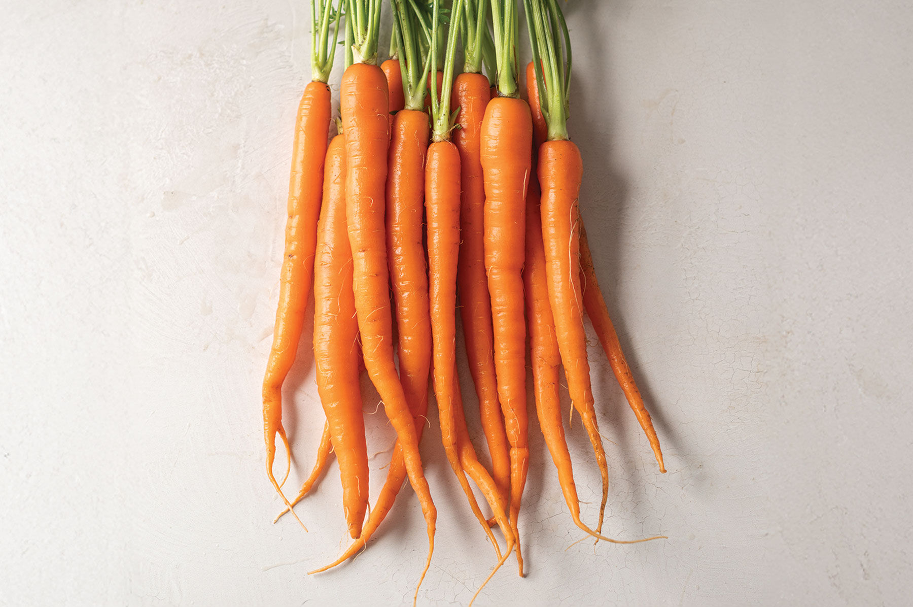 Sugarsnax 54 Main Crop Carrots