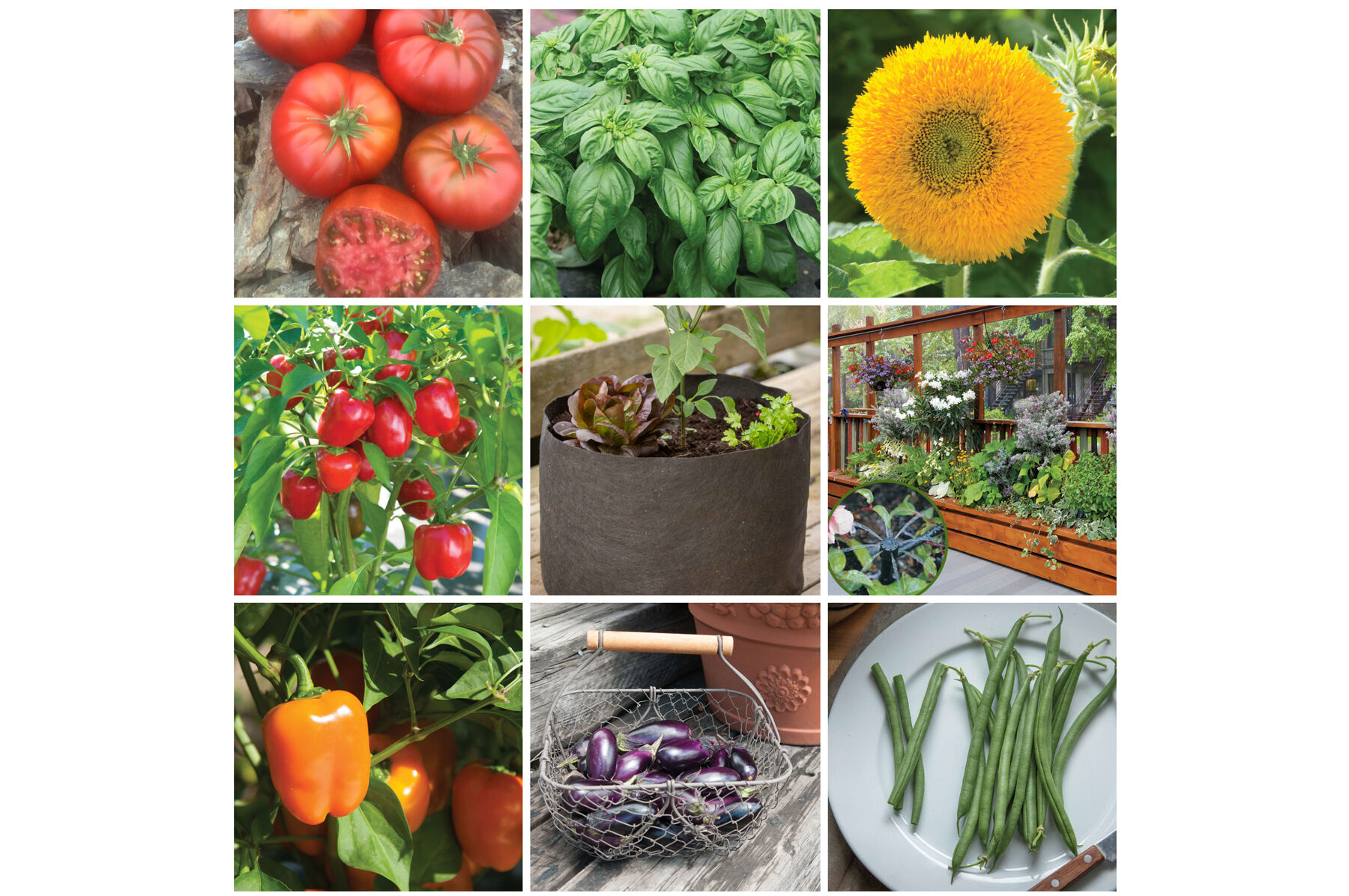 Patio Planter Set Sets