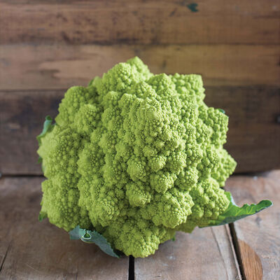 Puntoverde Romanesco Cauliflower