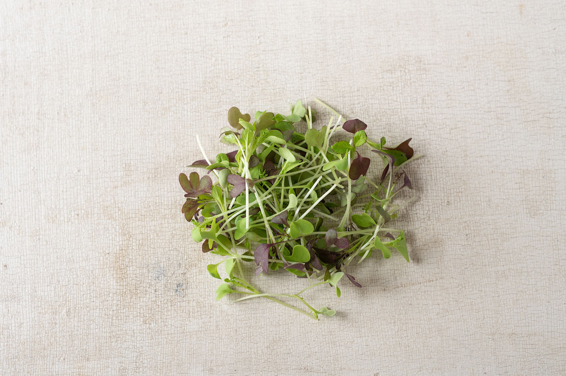 Spicy Micro Mix Microgreen Mixes