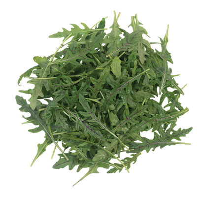 Nemesis Arugula (Roquette)