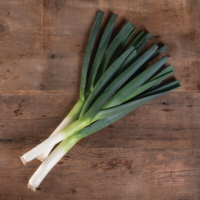 Comanche Leeks