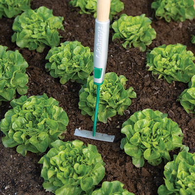 Collinear Hoe Head &ndash; 4" Collinear
