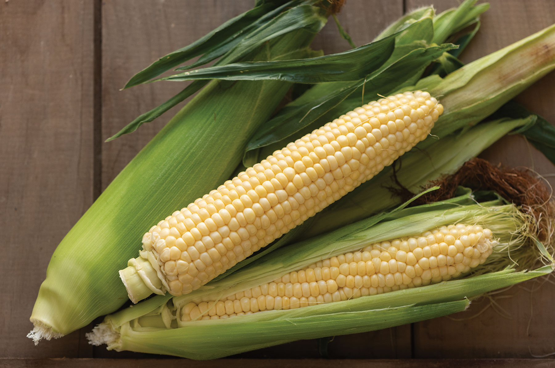 Sugar Buns Sweet Corn