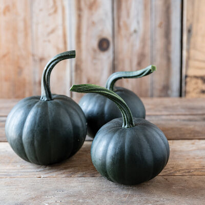 Black Bear Specialty Pumpkins