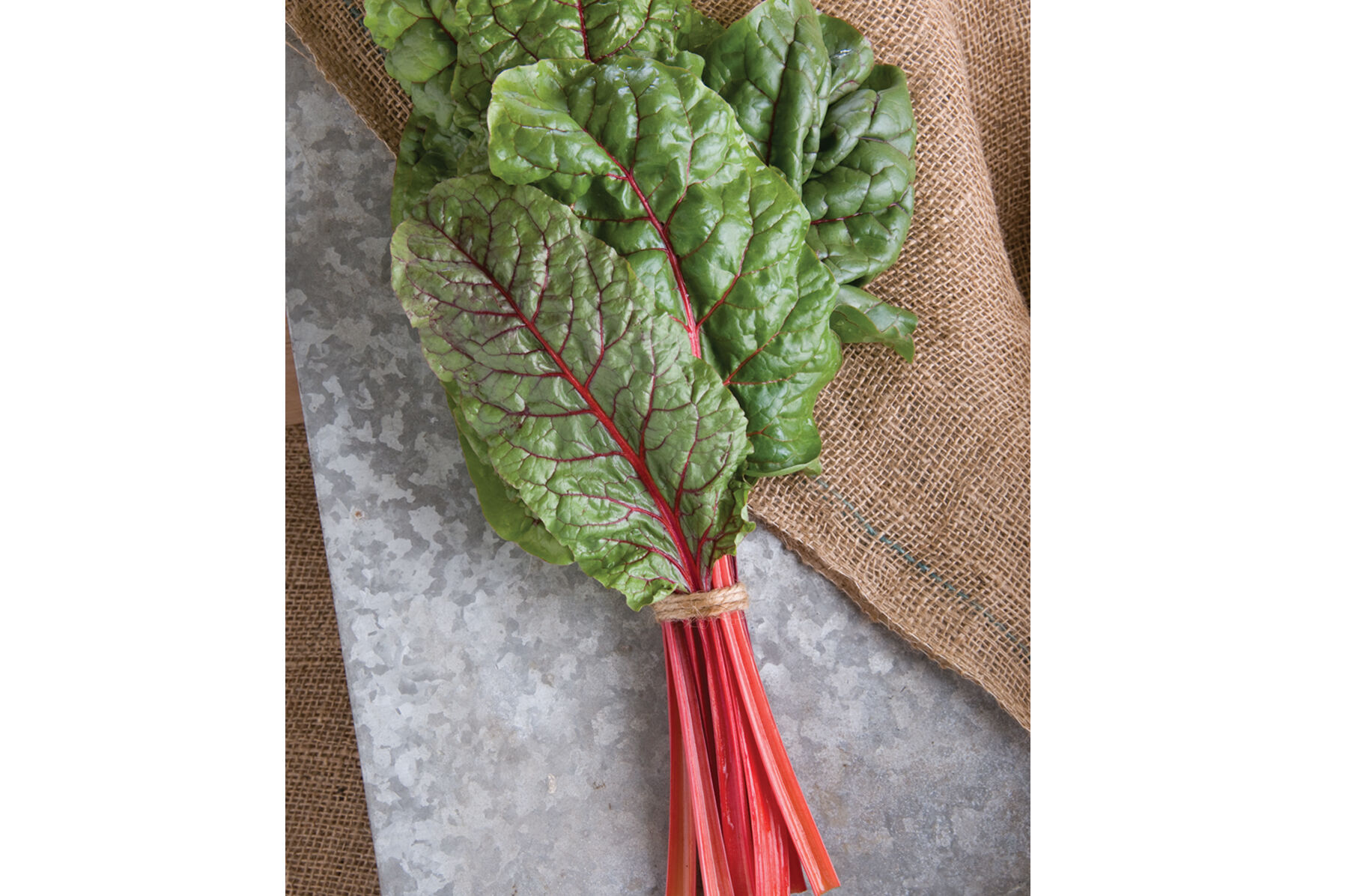 Ruby Red or Rhubarb Chard Swiss Chard