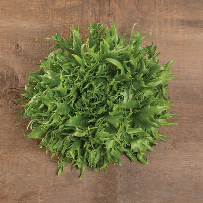 Frisygo One-Cut Lettuce