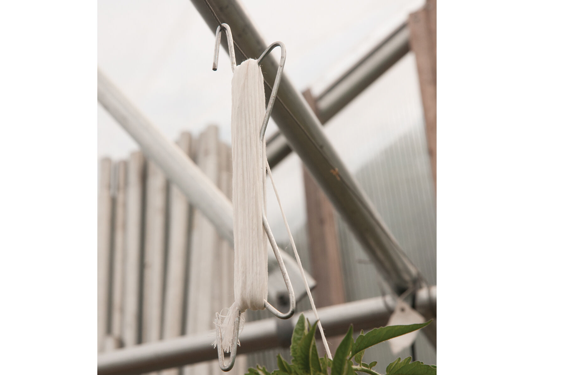 Tomahook &ndash; 323 Count Tomahooks