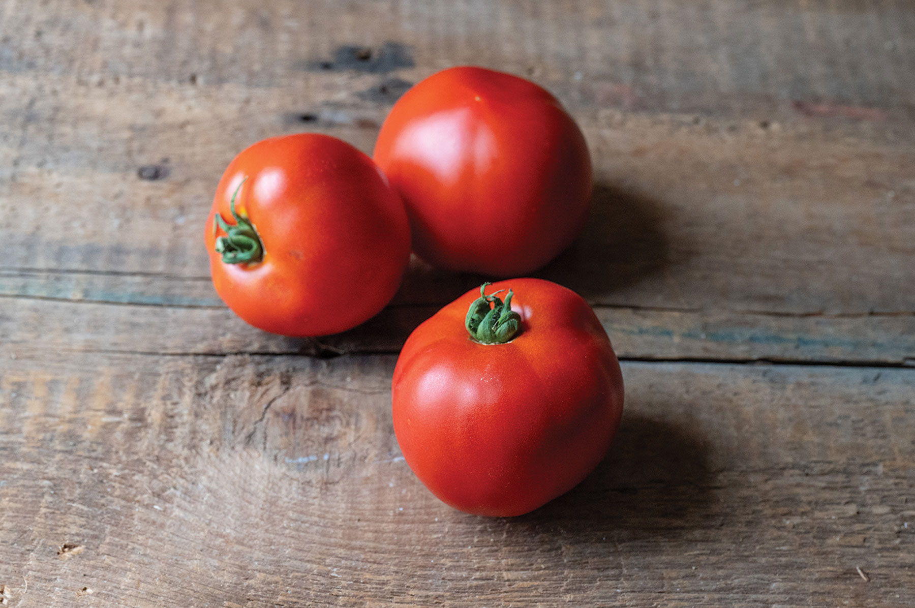 New Girl Slicing Tomatoes