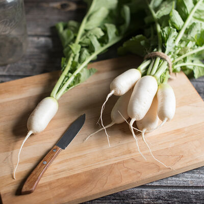 Mini Mak Daikon/Korean Radishes