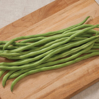 Fortex Pole Beans