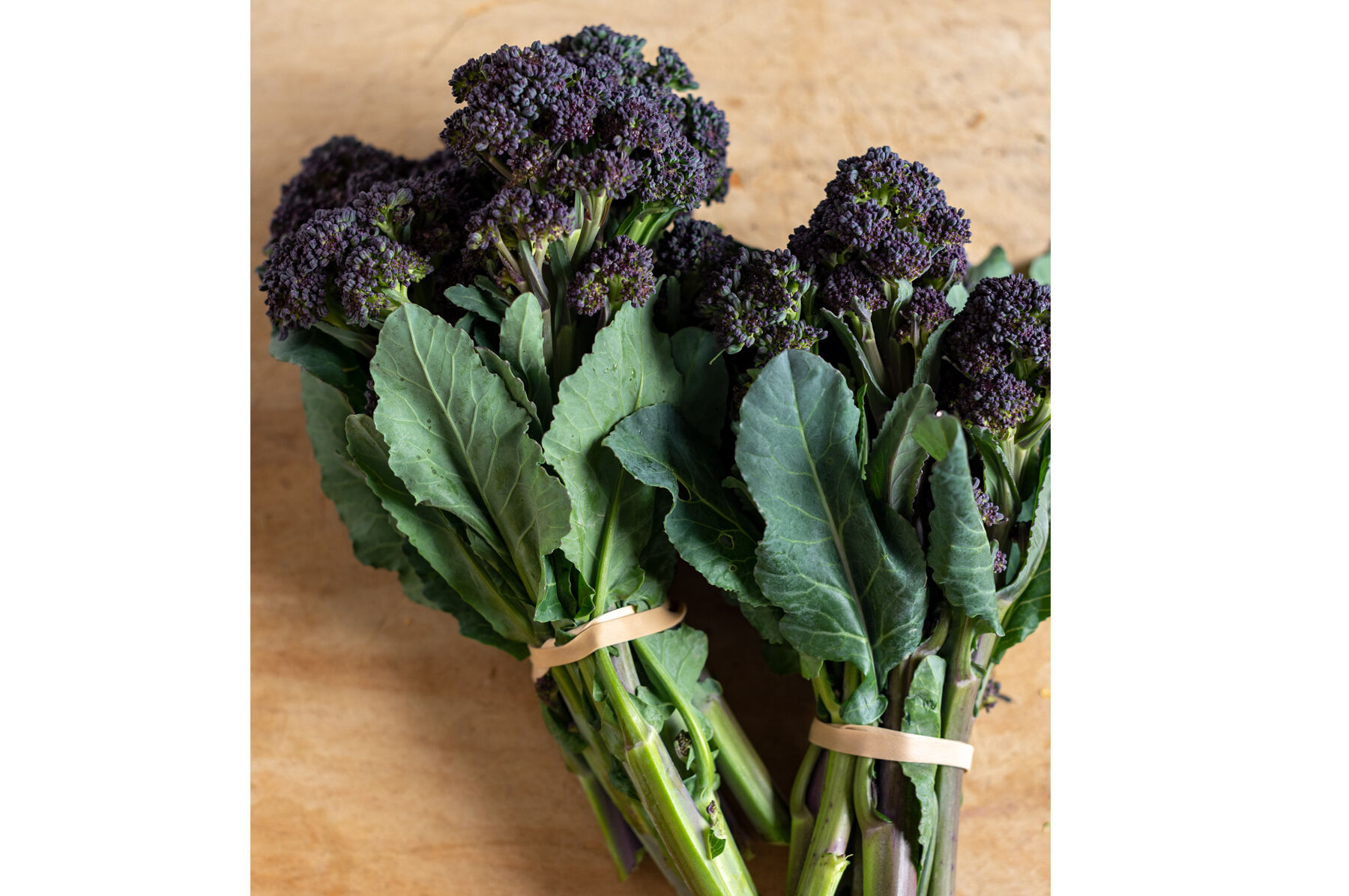 Burgundy Mini Broccoli