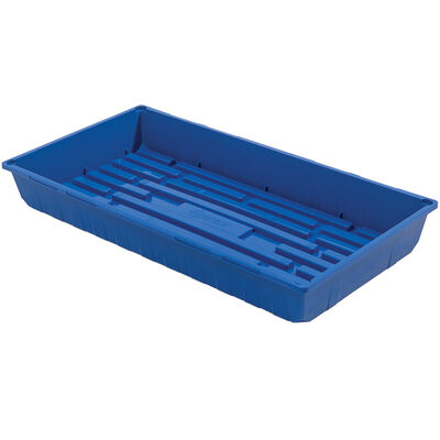 Polypro Endurance Deep Tray (No Holes), Blue – 4 Count Support Trays