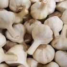 Appalachian Select Garlic