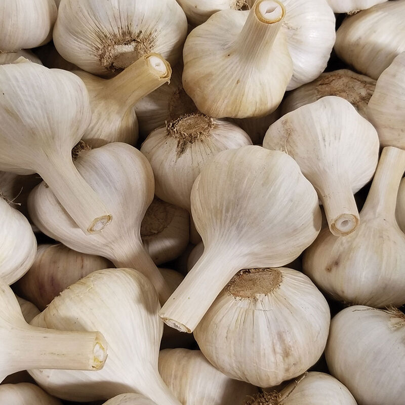 Appalachian Select Garlic