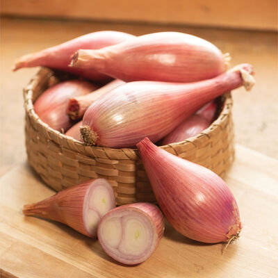 Crème Brûlée Shallots