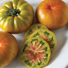 Woodstock Specialty Tomatoes