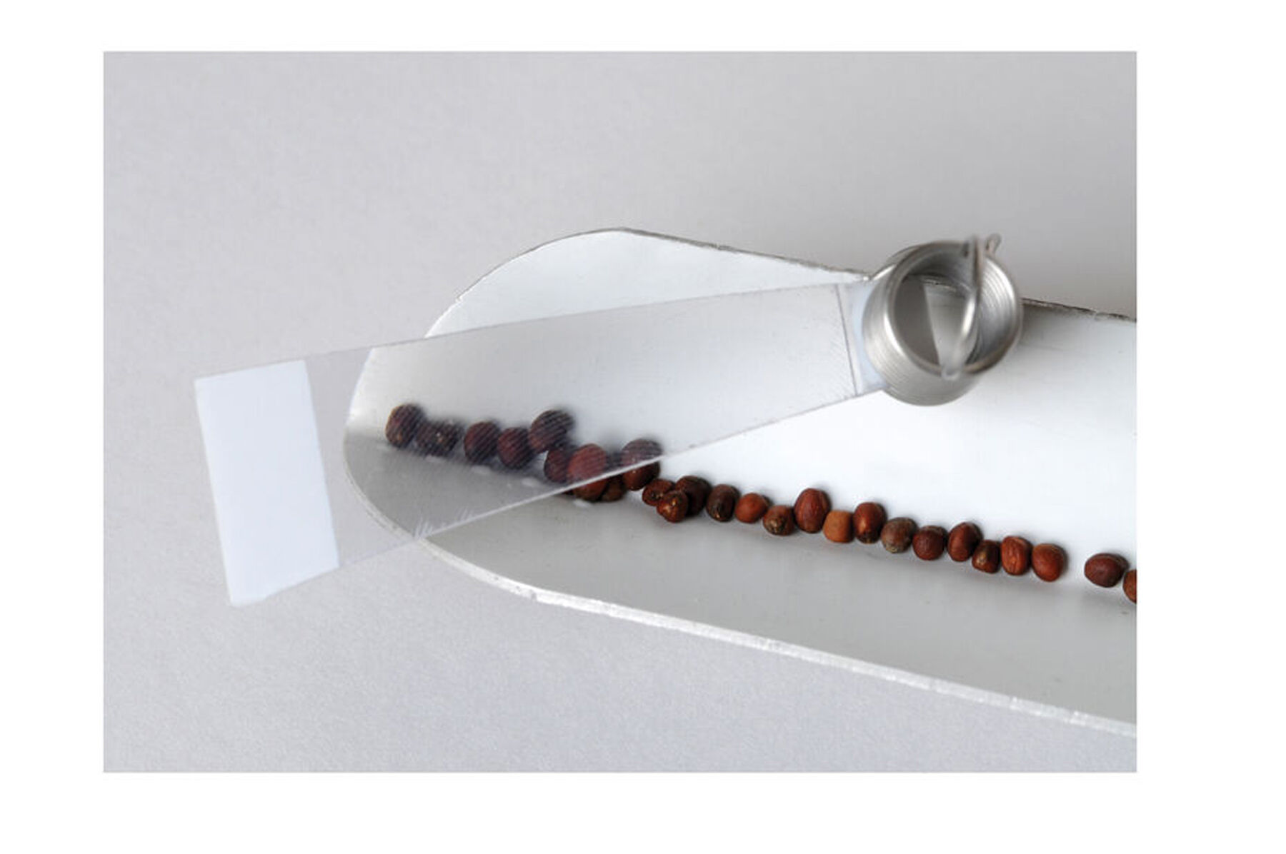 Magnifier Seed Starting Supplies