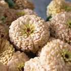 Linen Johnny's Zinnias