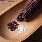 Indian Art Red Fire Dry Corn